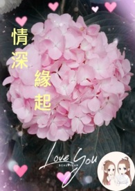情深缘起全文阅读